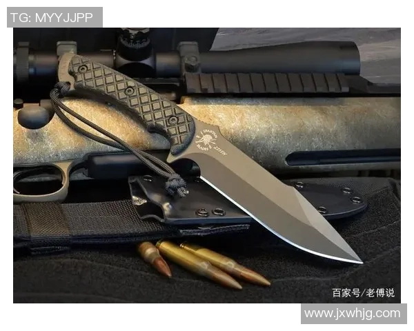 深入分析FPX中路突破战术的核心要素与实战应用